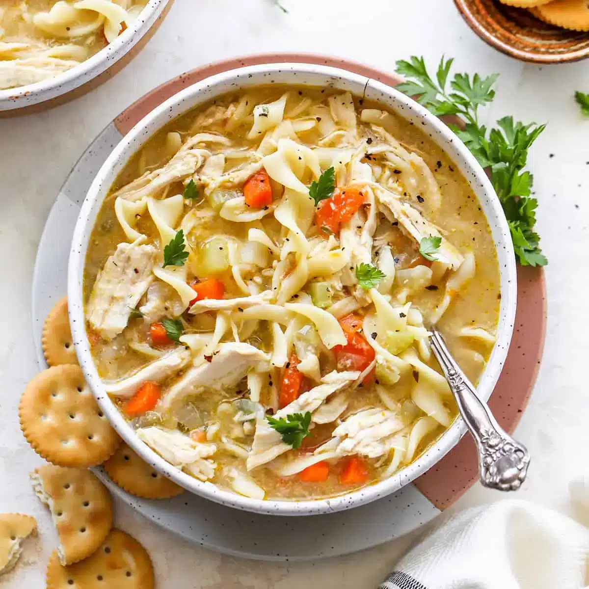 Best Homemade Chicken Noodle Soup Recipe