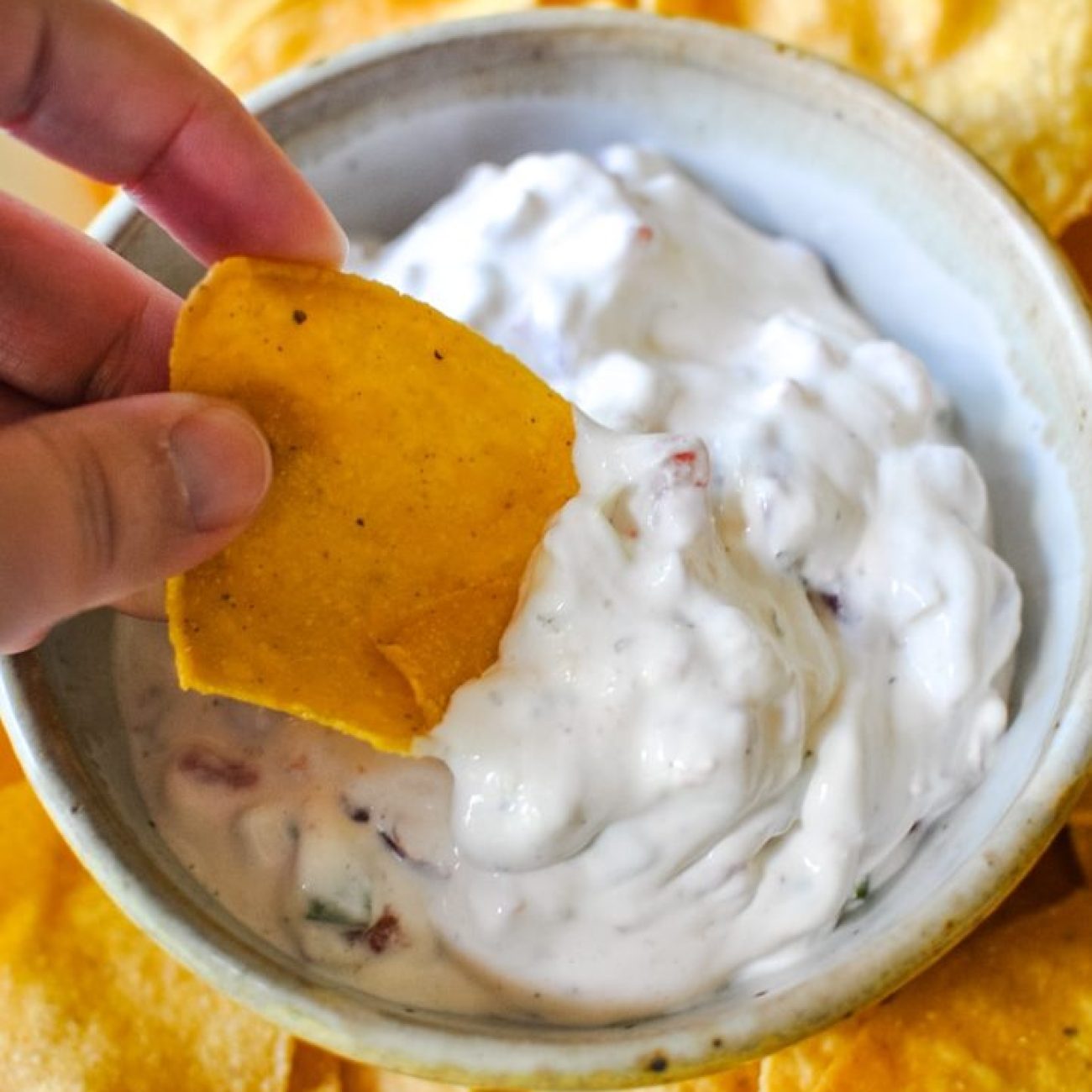 3 Ingredient Chip Dip