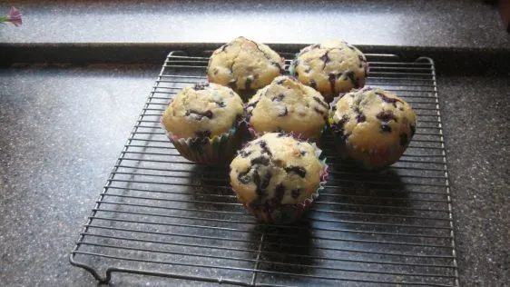 Any Muffins Recipe