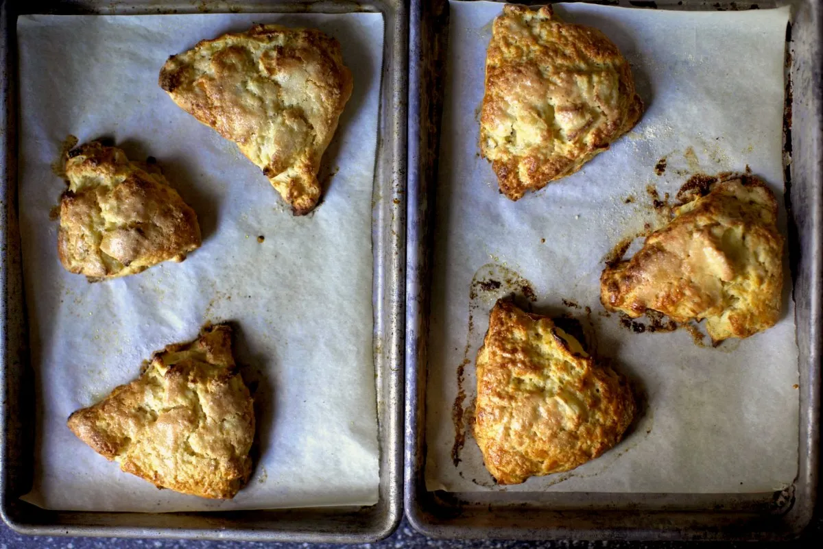 Apple And Cheese Scones