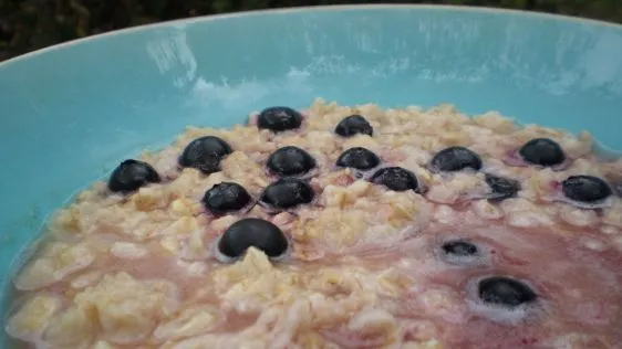 Apple Blueberry Oatmeal