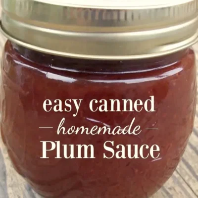 Asian Spicy Plum Sauce