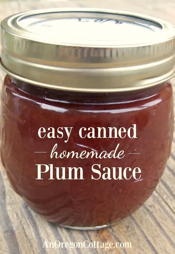 Asian Spicy Plum Sauce