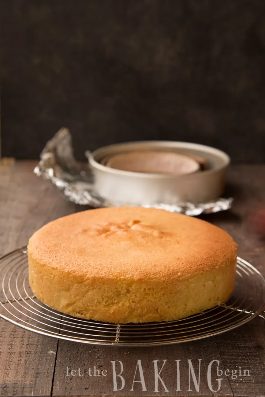 Authentic Airy Sponge Cake Recipe