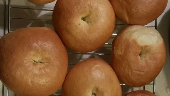 Authentic New York-Style Plain Water Bagels Recipe