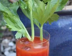 Authentic Wisconsin-Style Bloody Mary Recipe