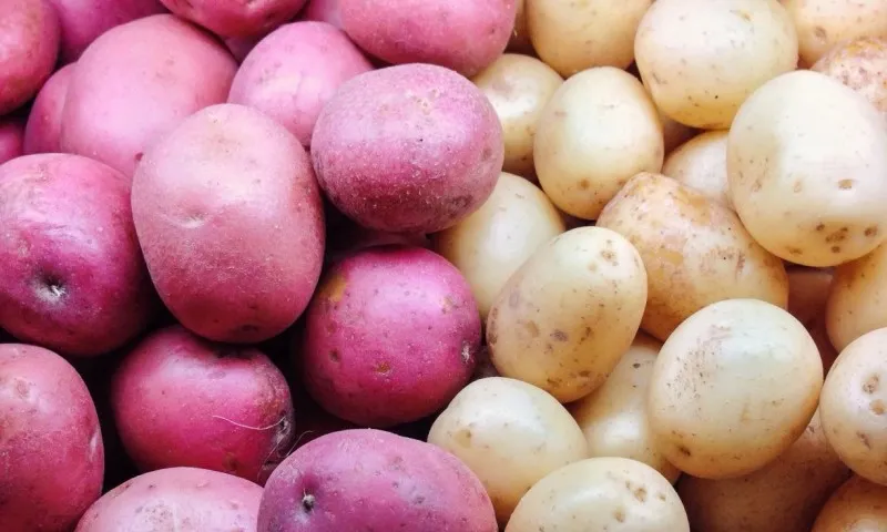 Baked Potato Soup For Grilling Leftovers