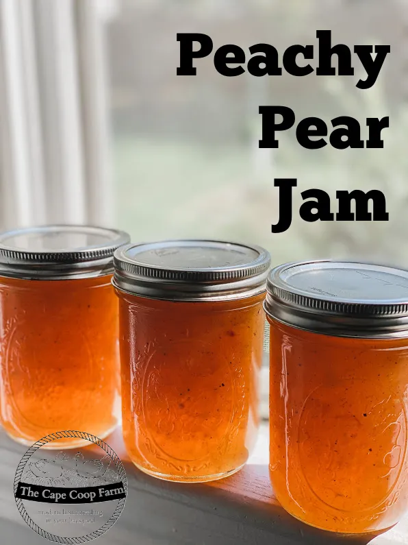 Ball Blue Book Peach Or Pear Jam