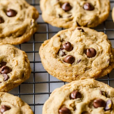 Basic Vegan Spelt Cookies Chocolate/Carob