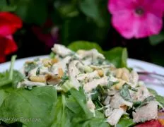 Basil Scented Chicken Salad