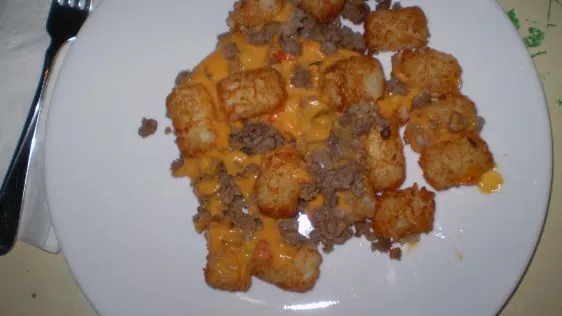 Beef And Onion Tater Tot Casserole