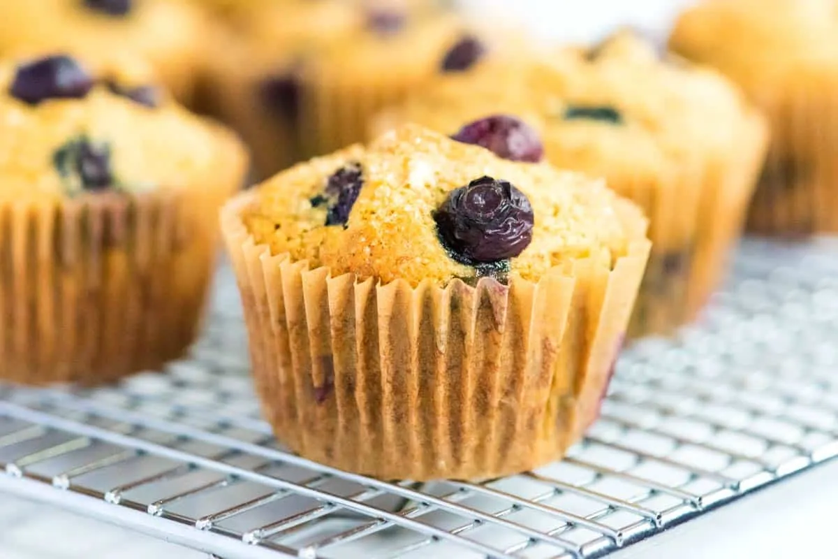 Blueberry And Banana Muffins Light