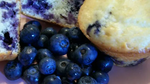 Blueberry Muffins with Sour Cream: A Moist and Fluffy Recipe