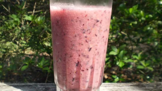 Blueberry Smoothie