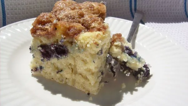 Blueberry Streusel Coffee Cake Delight