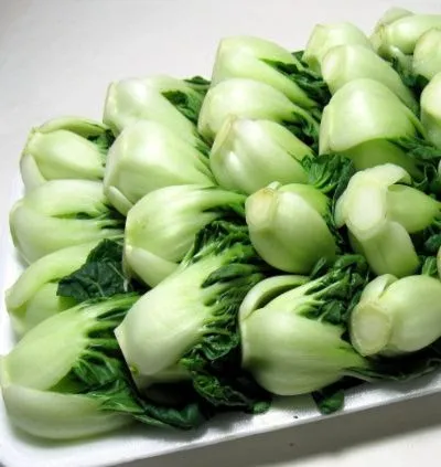 Bok Choy In Cream Sauce