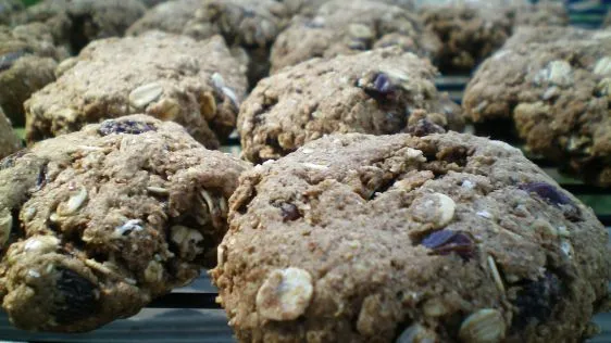 Breakfast Cookies