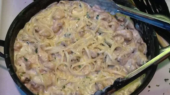 Cajun Chicken Alfredo