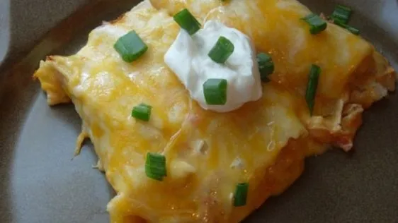 Cheese And Chicken Enchiladas