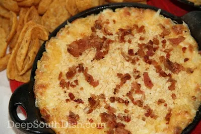 Cheesy Vidalia Onion Dip Recipe