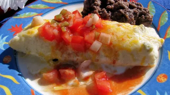 Chicken Enchiladas With Sour Cream