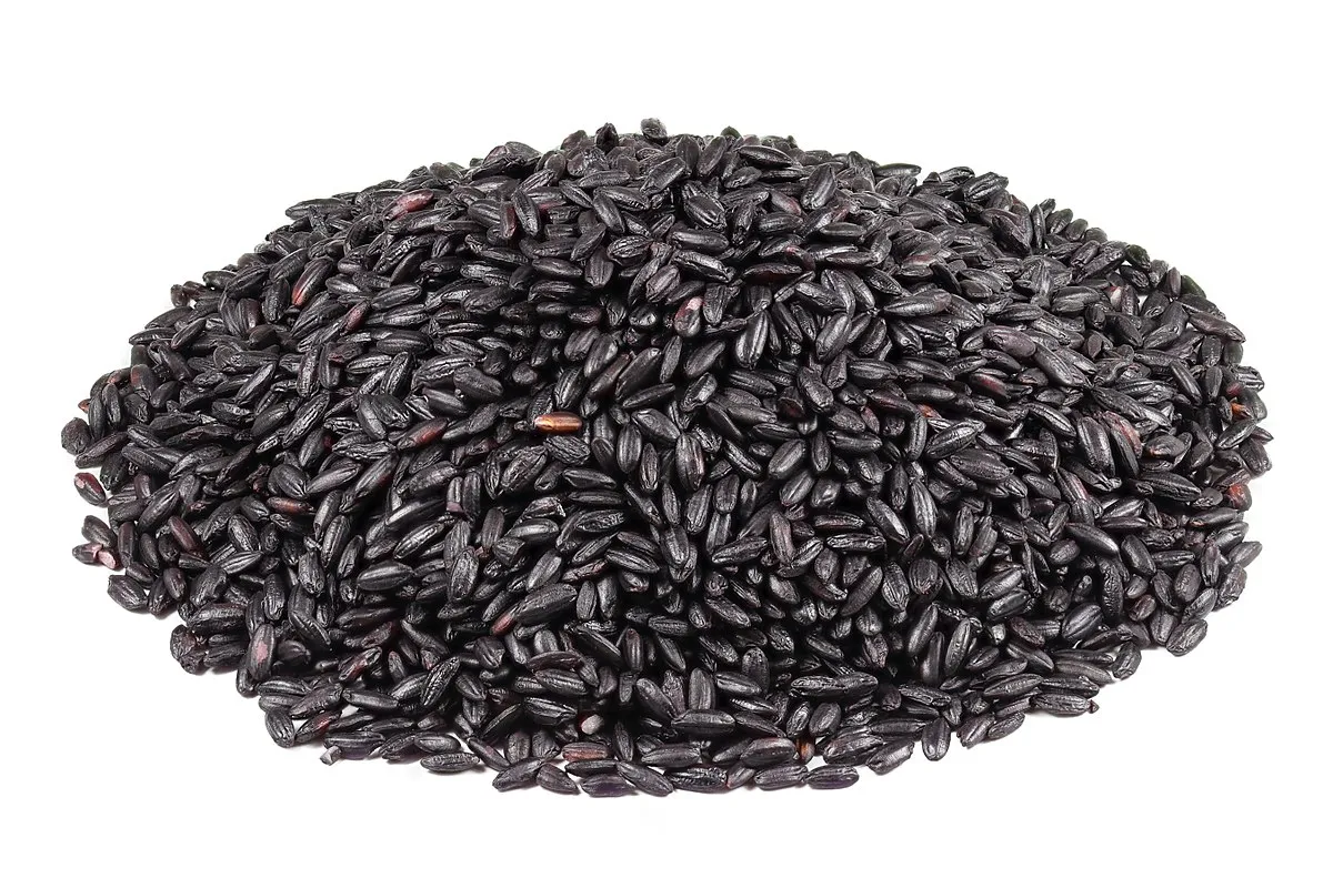 Chinese Black Rice Or Forbidden Rice