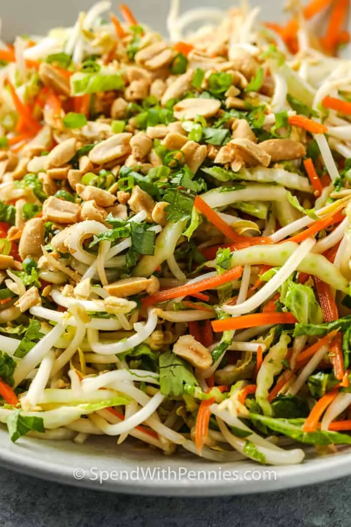 Chinese Cabbage And Bean Sprout Salad