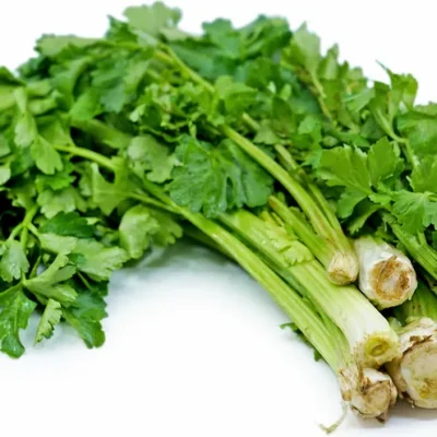 Chinese Celery