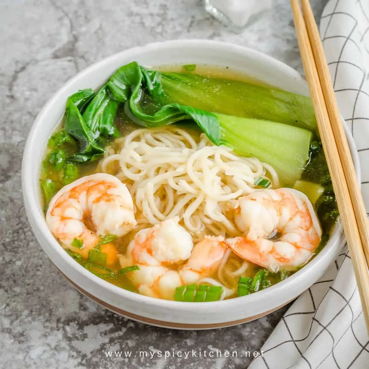 Chinese Chicken And Shrimp Noodle Soup