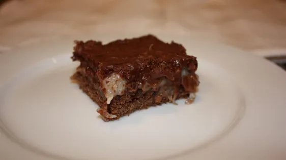 Chocolate Coconut Squares