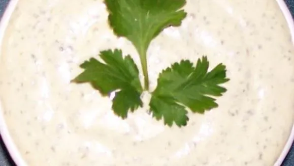 Cilantro Mayonnaise – South Beach Diet