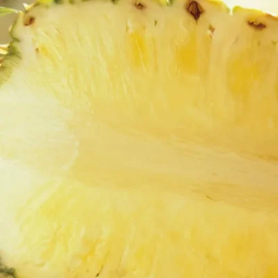 Coconut Grilled Pineapple