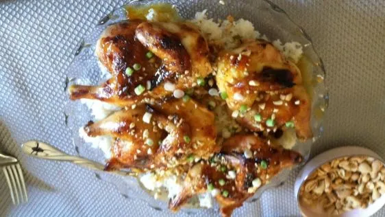 Cornish Game Hens With Curry Apricot Glaze