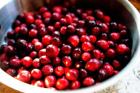 Cranberry And Pomegranate Jellies