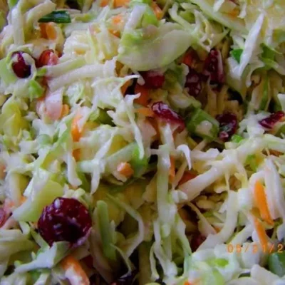 Cranberry Fruit Coleslaw