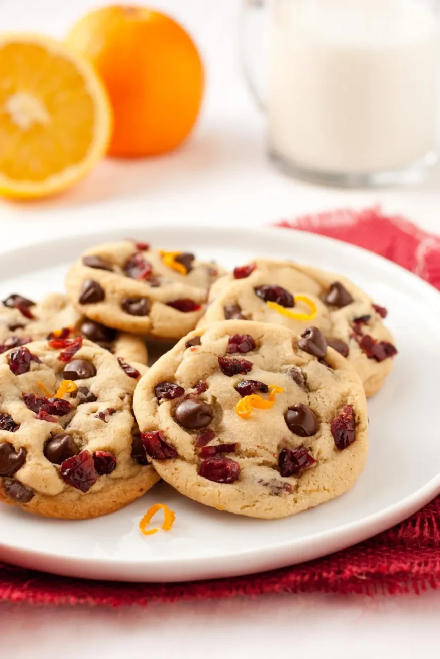 Cranberry, Orange And Dark Chocolate Chip