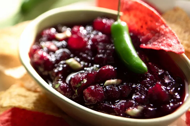 Cranberry Salsa with a Tex-Mex Twist: A Festive Recipe