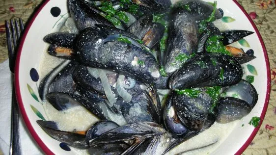 Creamy Broth Steamed Mussels: A Fresh Seafood Delight