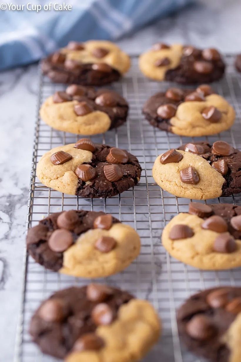 Decadent Chocolate Peanut Butter Delight Recipe