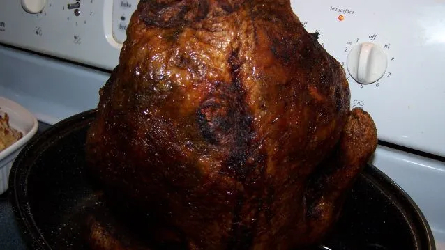 Deep Fried Turkey Flavor Injector Marinade