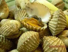 Deliciously Simple Steamed Cockles Recipe