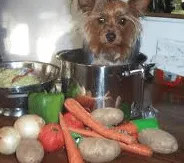 Doggy Casserole