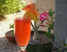 Due Campari Cocktail