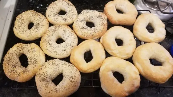 Easy Bagels!