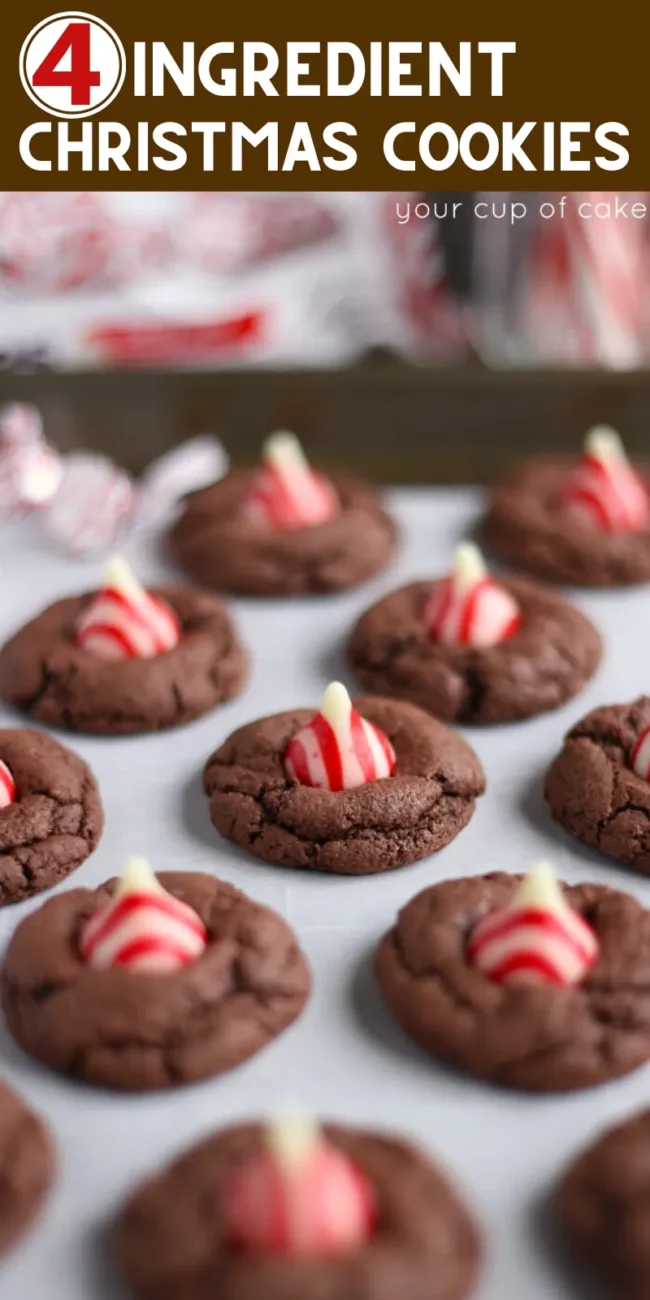 Easy Devils Food Chocolate Cookies Gift Mix