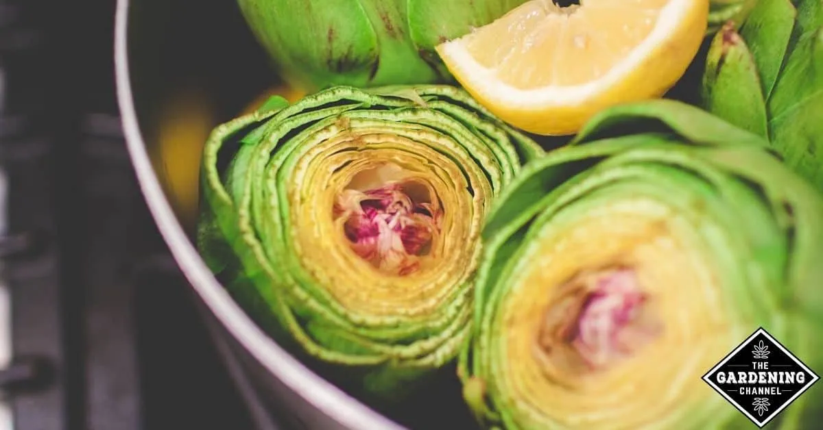 Easy Homemade Artichoke Tapenade in Just Two Steps