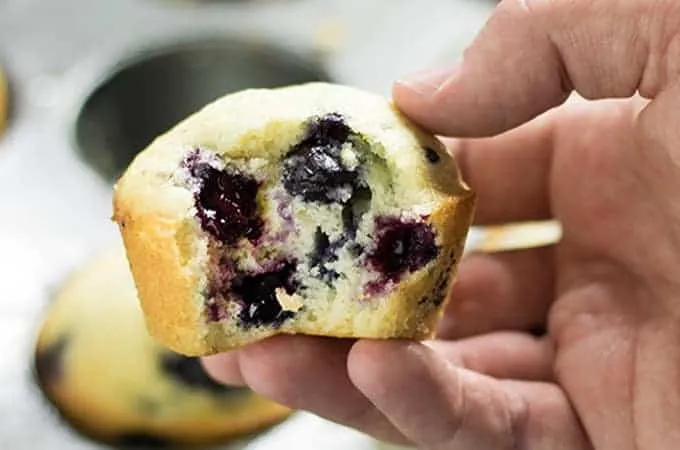 Easy Homemade Blueberry Muffin Recipe