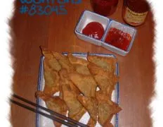 Easy Homemade Won Tons