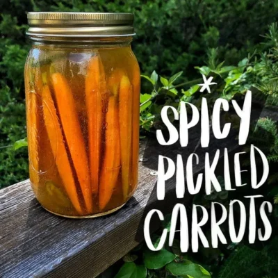 Easy Homemade Zesty Spiced Pickled Carrots Recipe