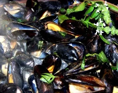 Easy Thai-Inspired Steamed Mussels Recipe